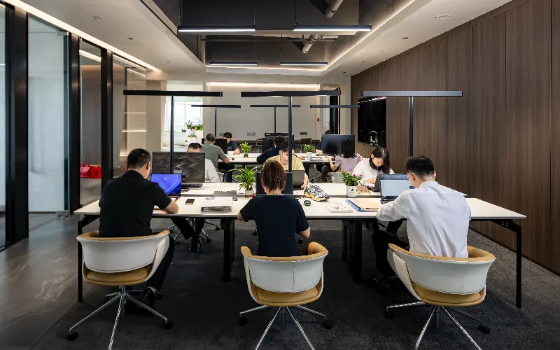 Dadao Excellent Team